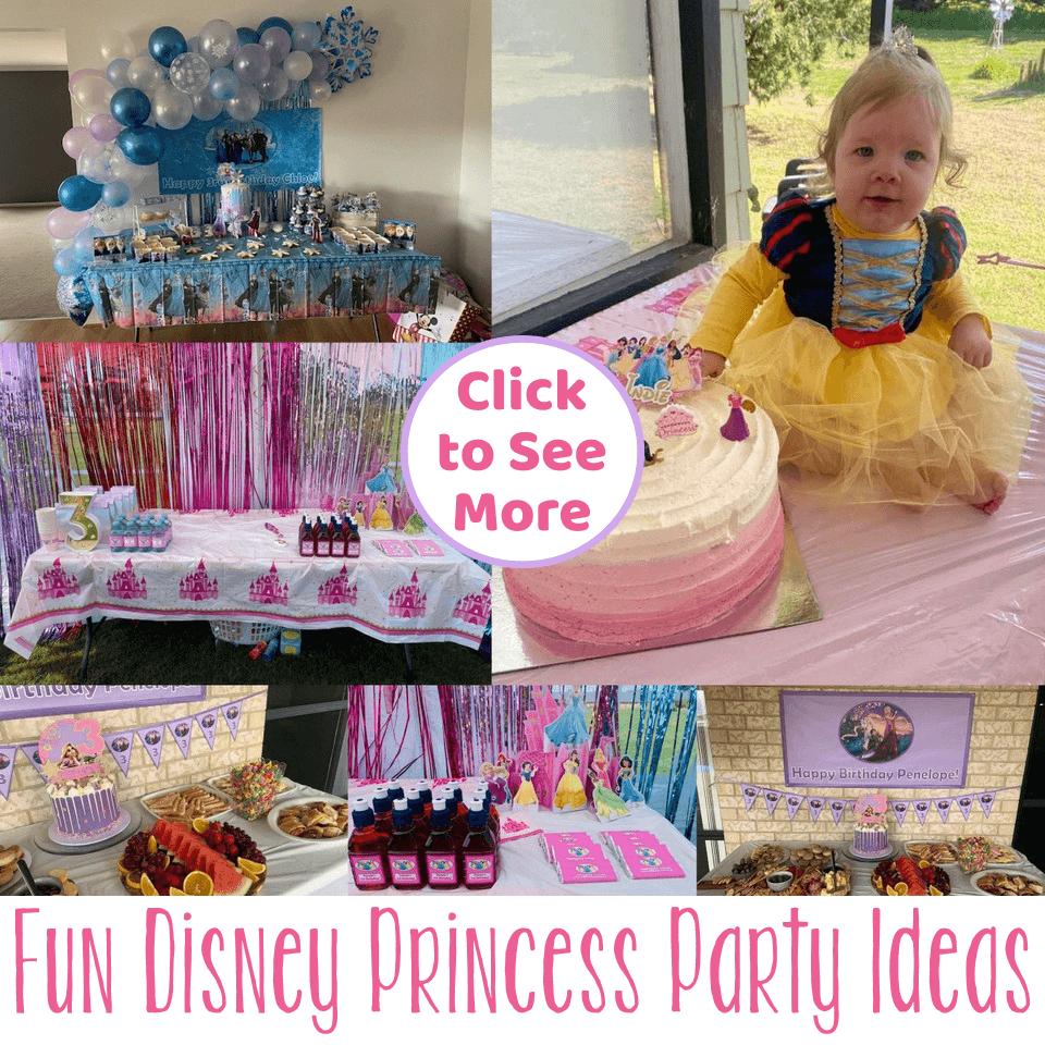 Magical Disney Princess Themed Birthday Party Ideas
