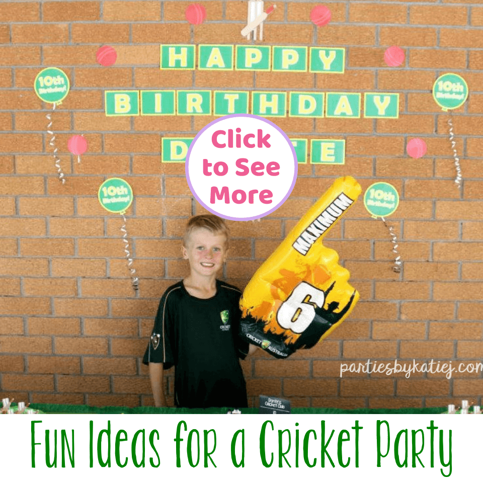 Awesome Cricket Birthday Party Ideas & Photos