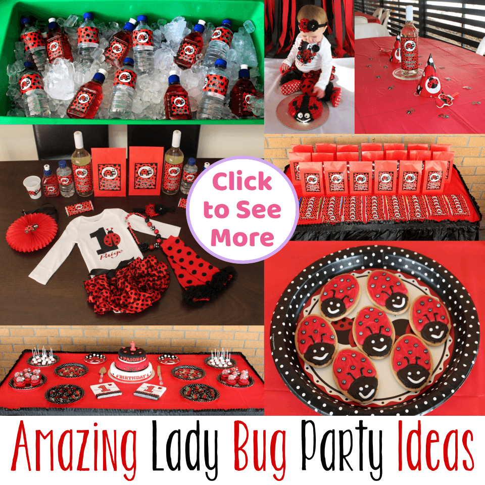 Adorable Ladybug First Birthday Party Ideas & Photos