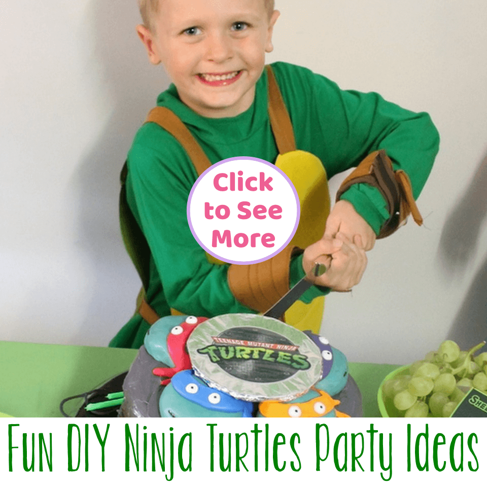 Awesome Ninja Turtles Birthday Party Ideas & Photos