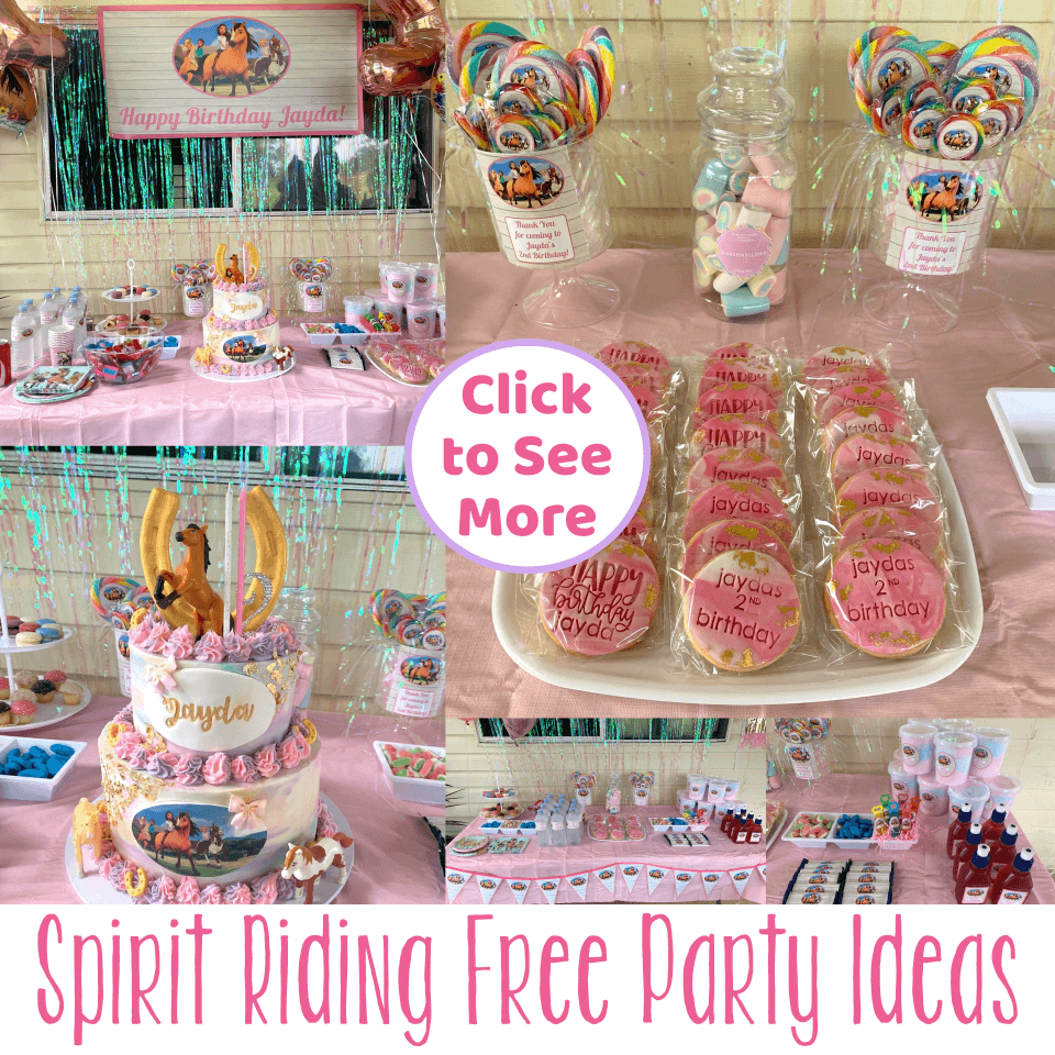 Fun Spirit Riding Free Birthday Party Ideas