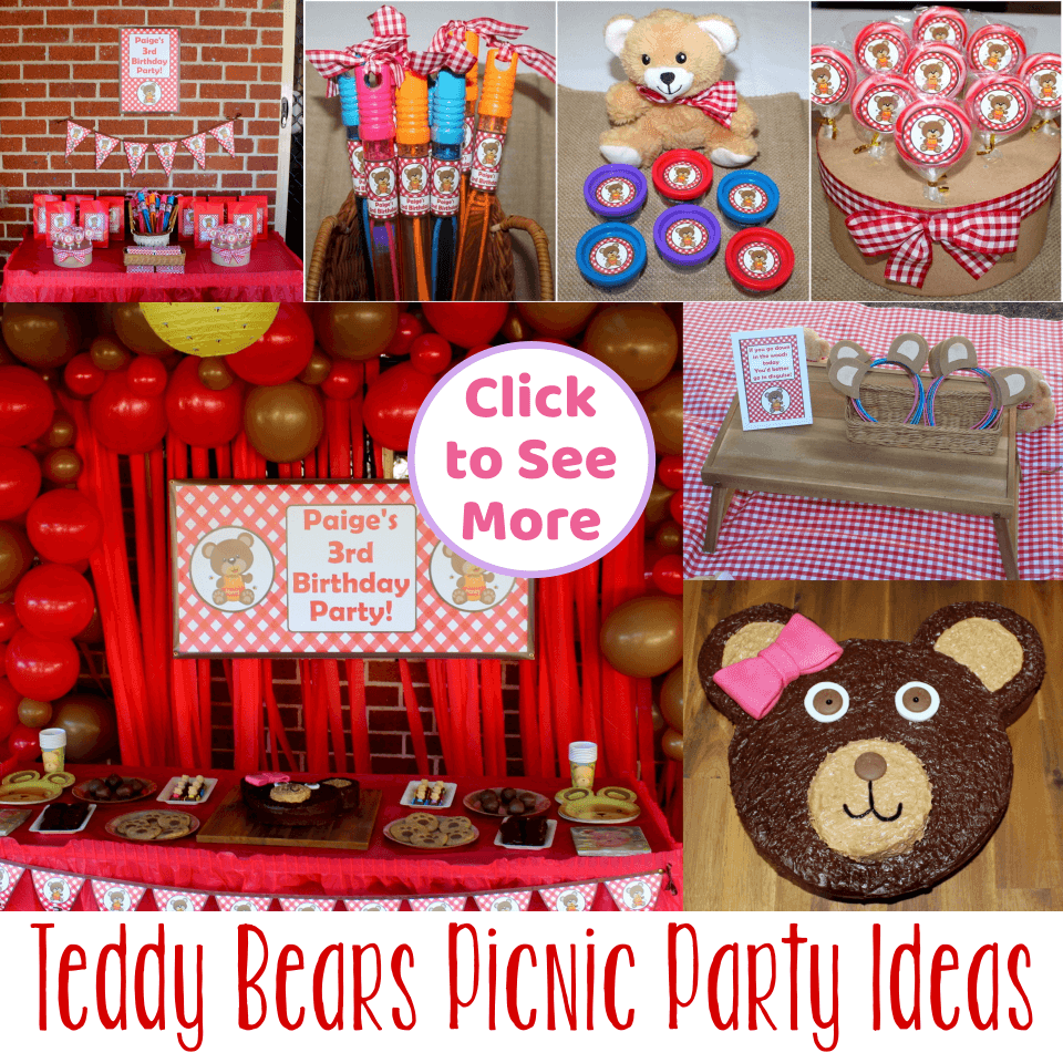 Teddy Bears Picnic Birthday Party Ideas & Photos