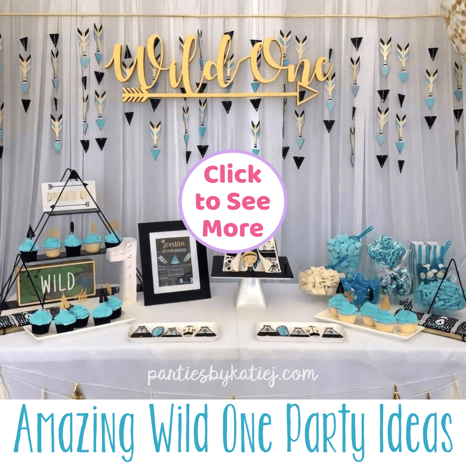 Amazing Boys Wild One Birthday Party Ideas & Photos