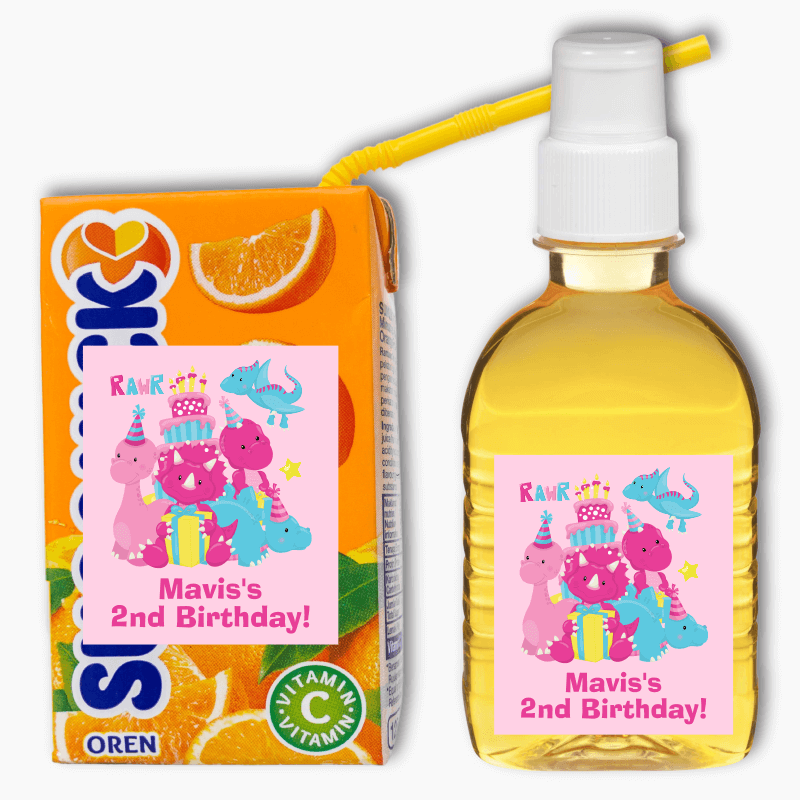 Little Girls Dinosaur Birthday Party Rectangle Drink Labels