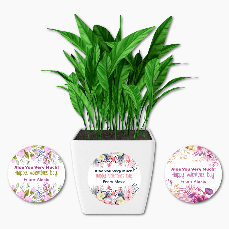 Personalised Aloe You Very Much Valentines Day Gift Round Plant Stickers
