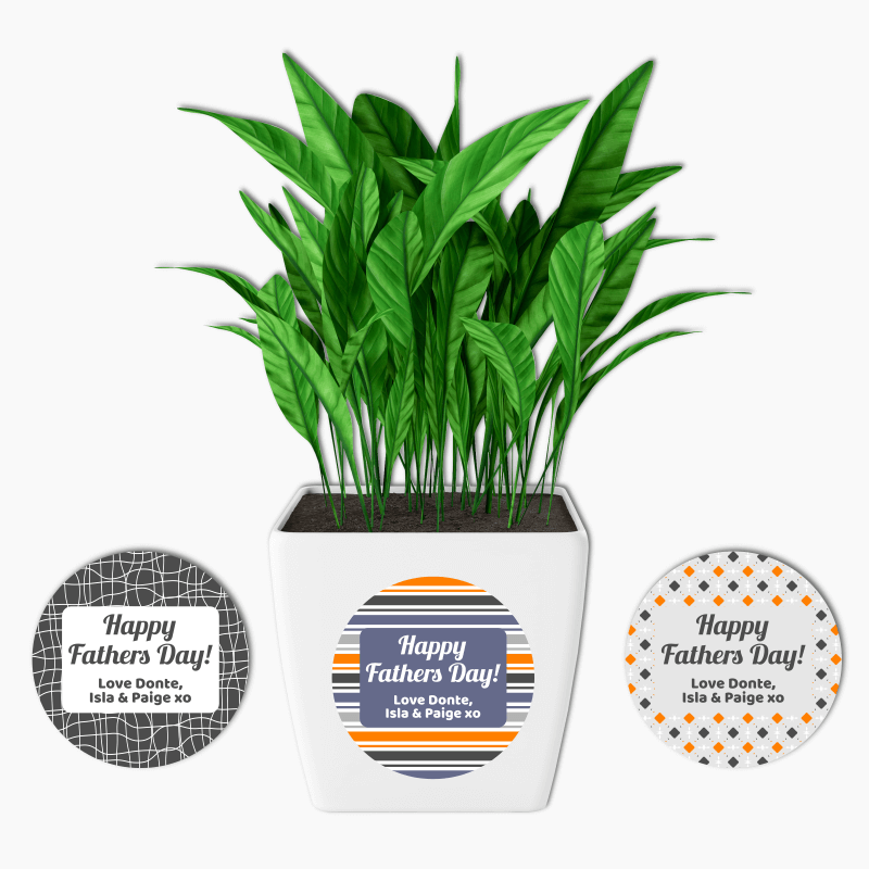Personalised Happy Fathers Day Gift Pot Plants