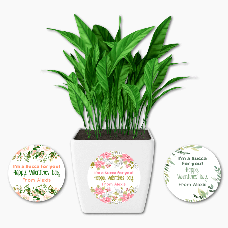 Personalised I'm a Succa for You Valentines Day Gift Round Plant Stickers