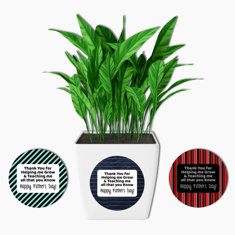 Thank You for Helping Me Grow Fathers Day Gift Pot Plants