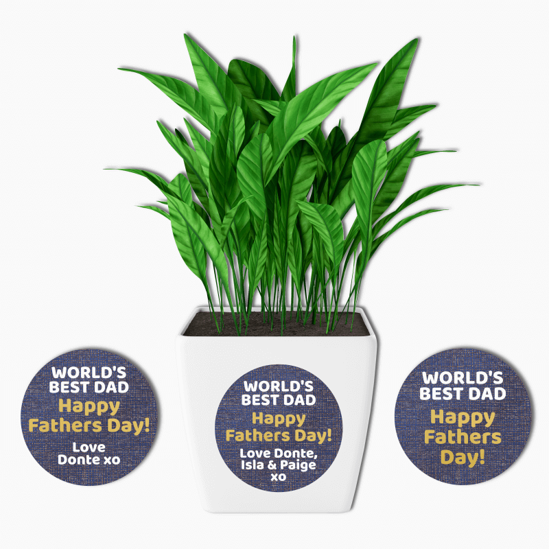World's Best Dad Fathers Day Gift Round Stickers