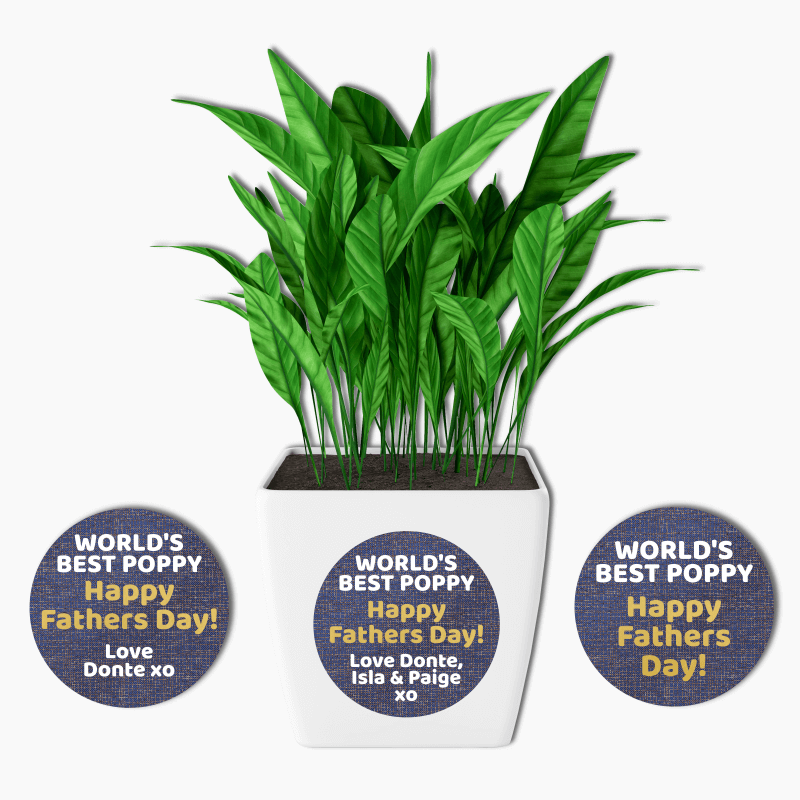 World's Best Poppy Fathers Day Gift Round Stickers